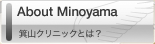 About Minoyama - ���R�N���j�b�N�Ƃ́H