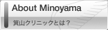 About Minoyama - ���R�N���j�b�N�Ƃ́H